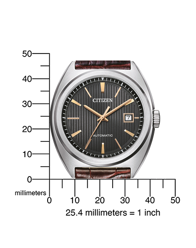 Citizen Automatic NJ0100-03H Erkek Kol Saati