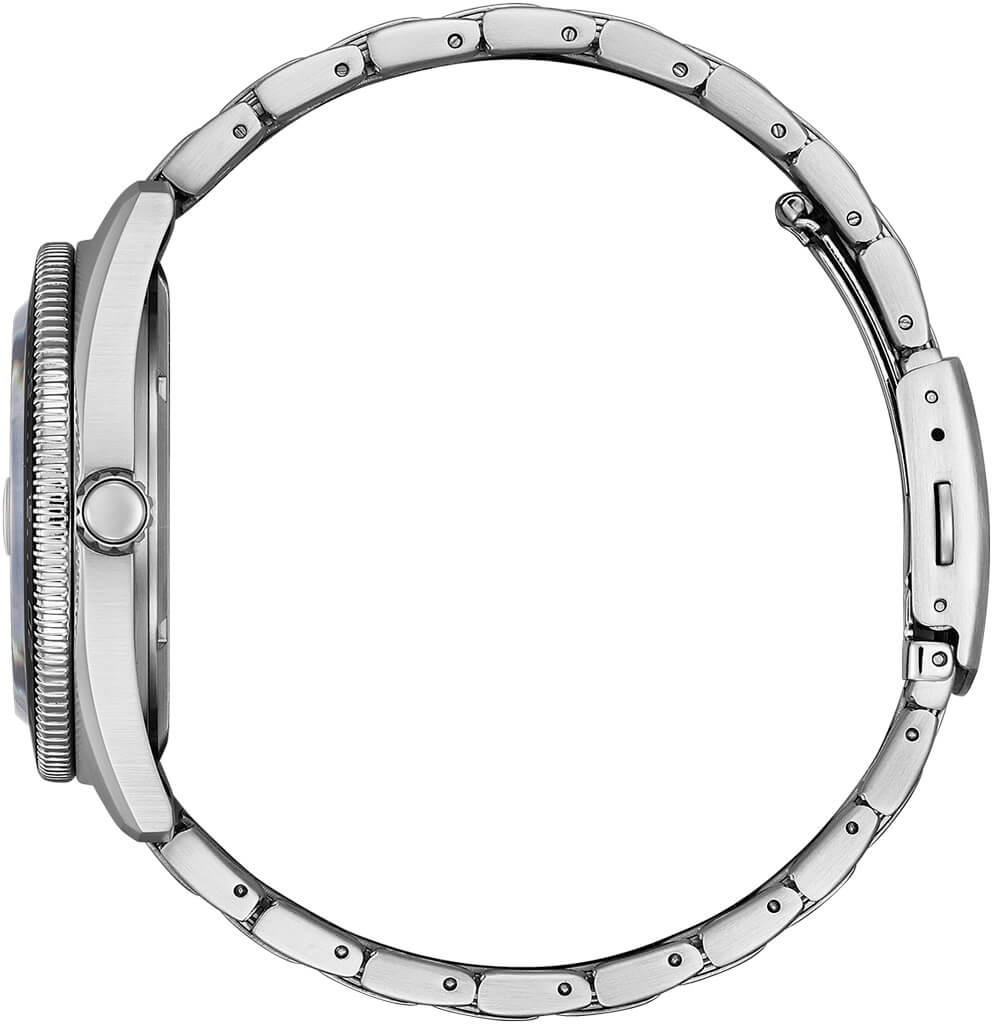 Citizen Eco-Drive AW1761-89L Erkek Kol Saati
