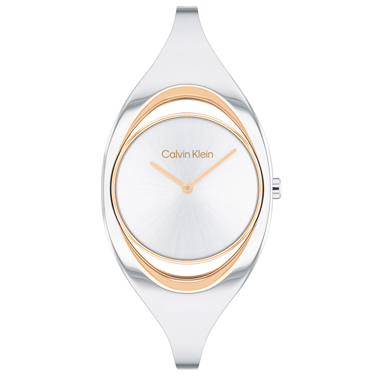 Calvin Klein CK25200393 Kadın Kol Saati