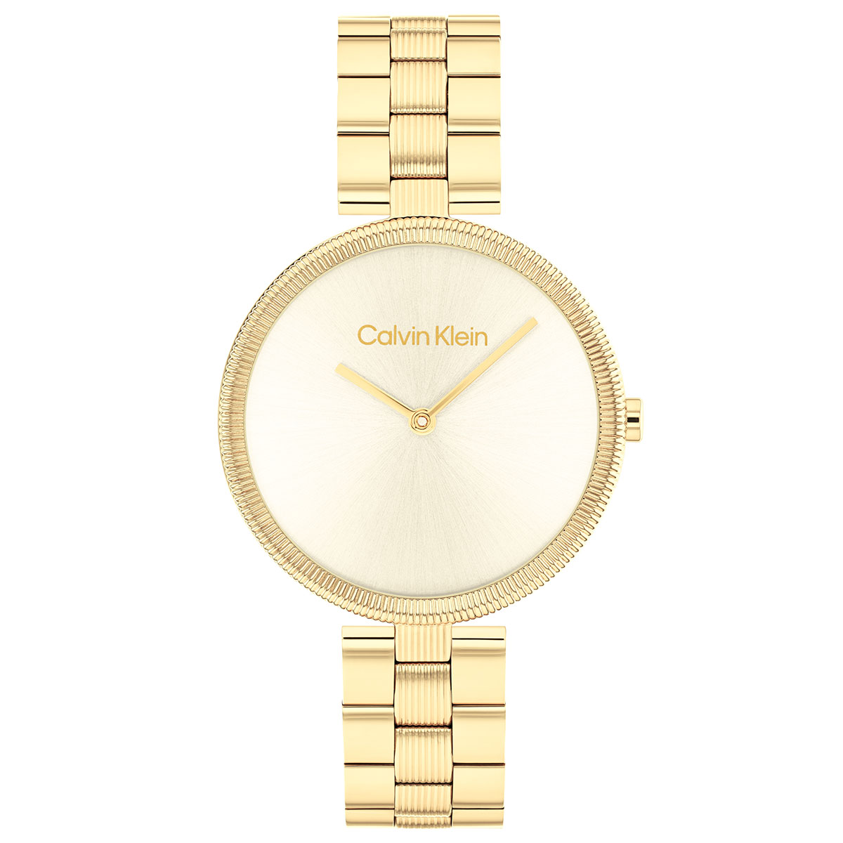 Calvin Klein CK25100014 Kadın Kol Saati