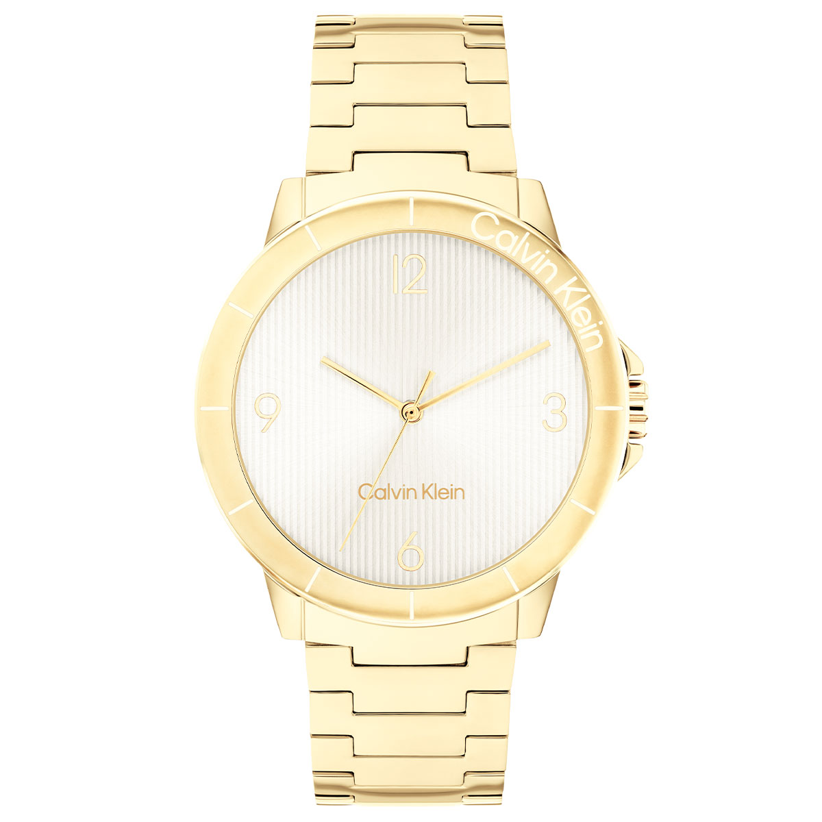 Calvin Klein CK25100023 Kadın Kol Saati