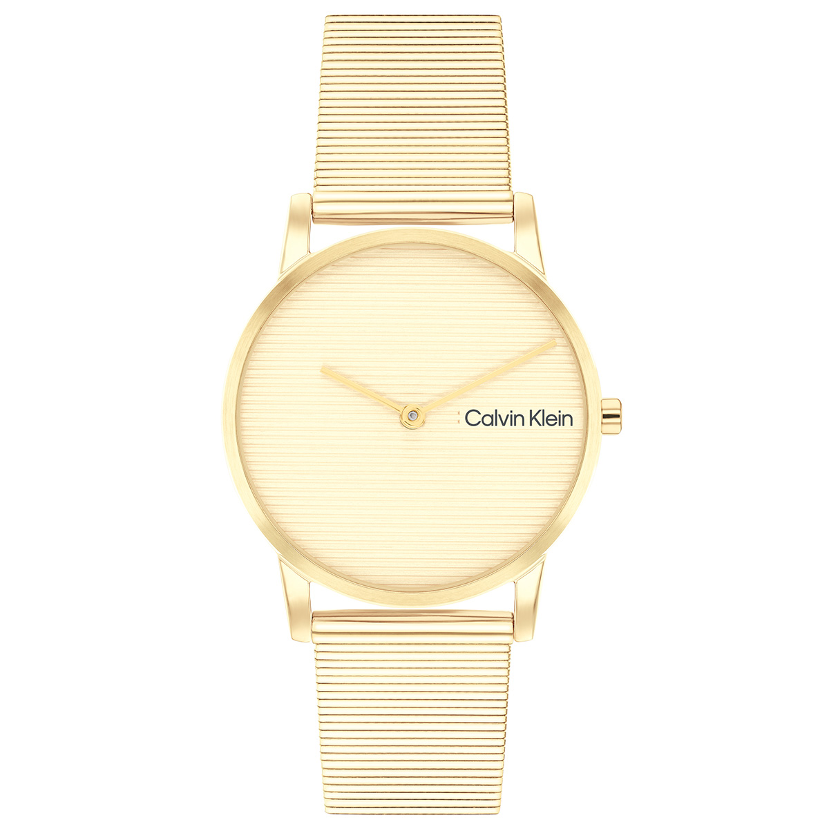 Calvin Klein CK25100035 Kadın Kol Saati