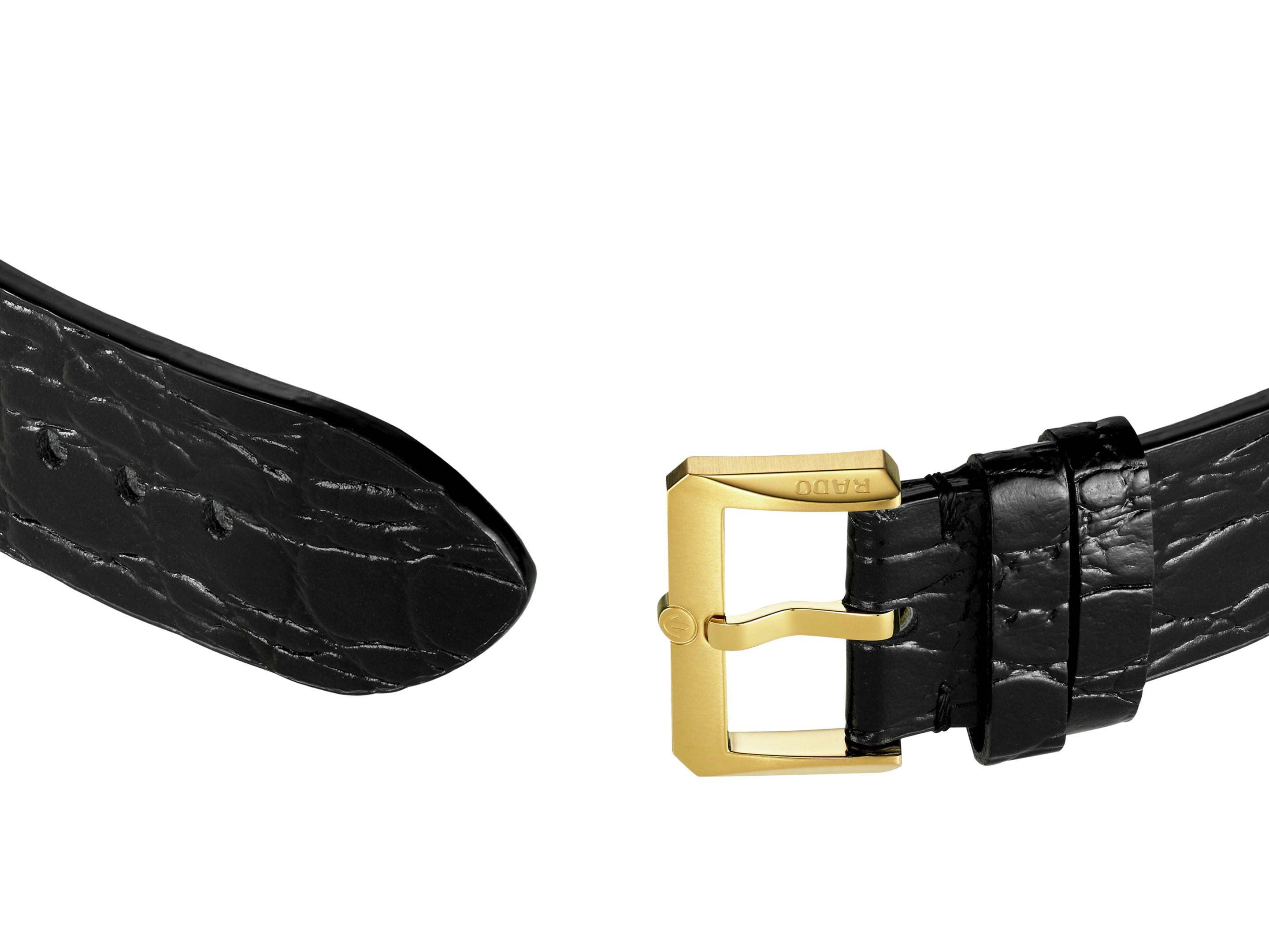 Rado Captain Cook x Marina Hoermanseder Heartbeat R32117708 Yedek Kordonlu