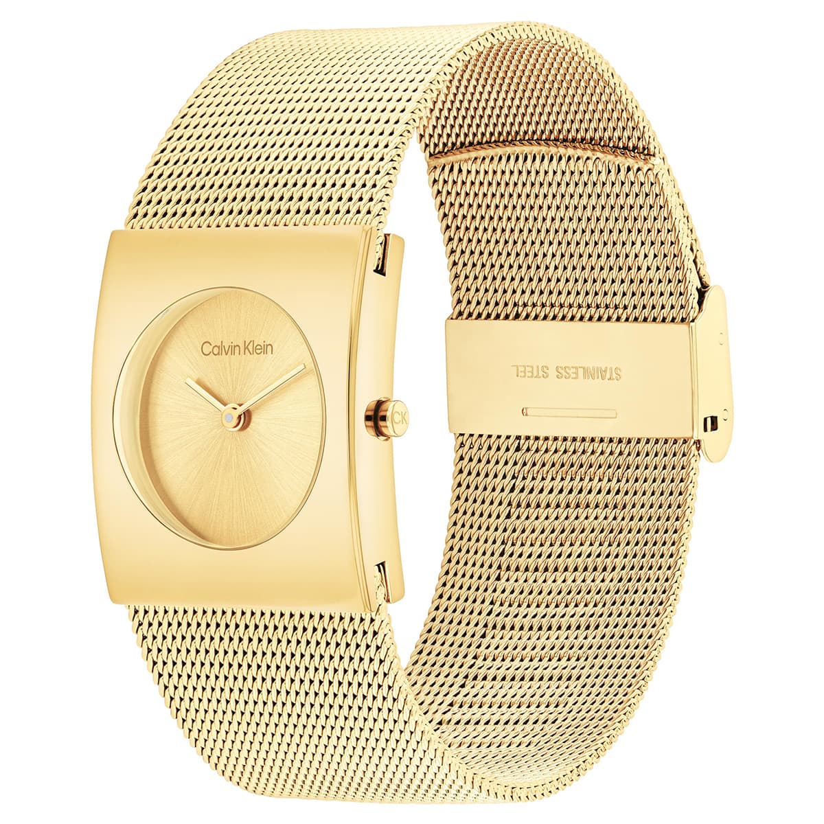 Calvin Klein CK25100062 Kadın Kol Saati