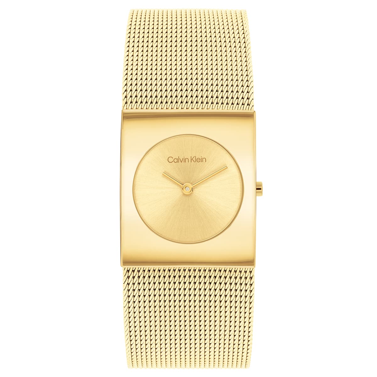Calvin Klein CK25100062 Kadın Kol Saati
