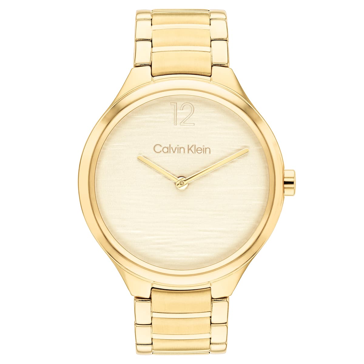 Calvin Klein CK25100048  Kadın Kol Saati