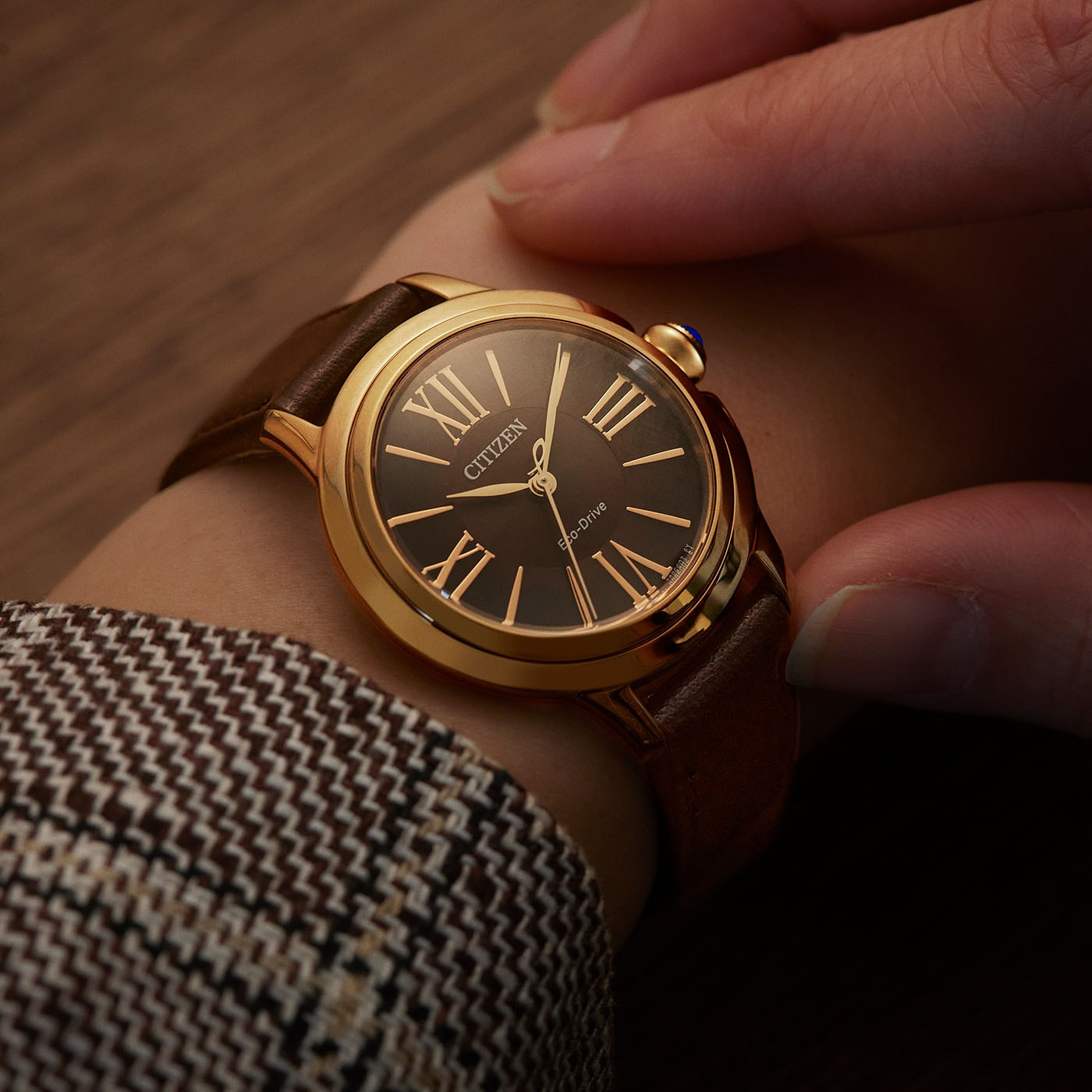 Citizen Eco-Drive EM1163-09X Kadın Kol Saati