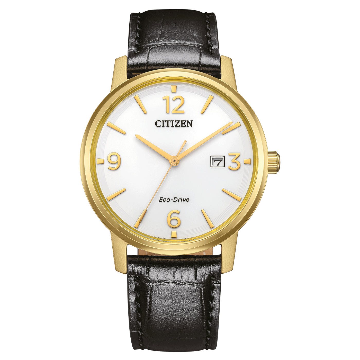 Citizen Eco-Drive BM6756-01A Erkek Kol Saati