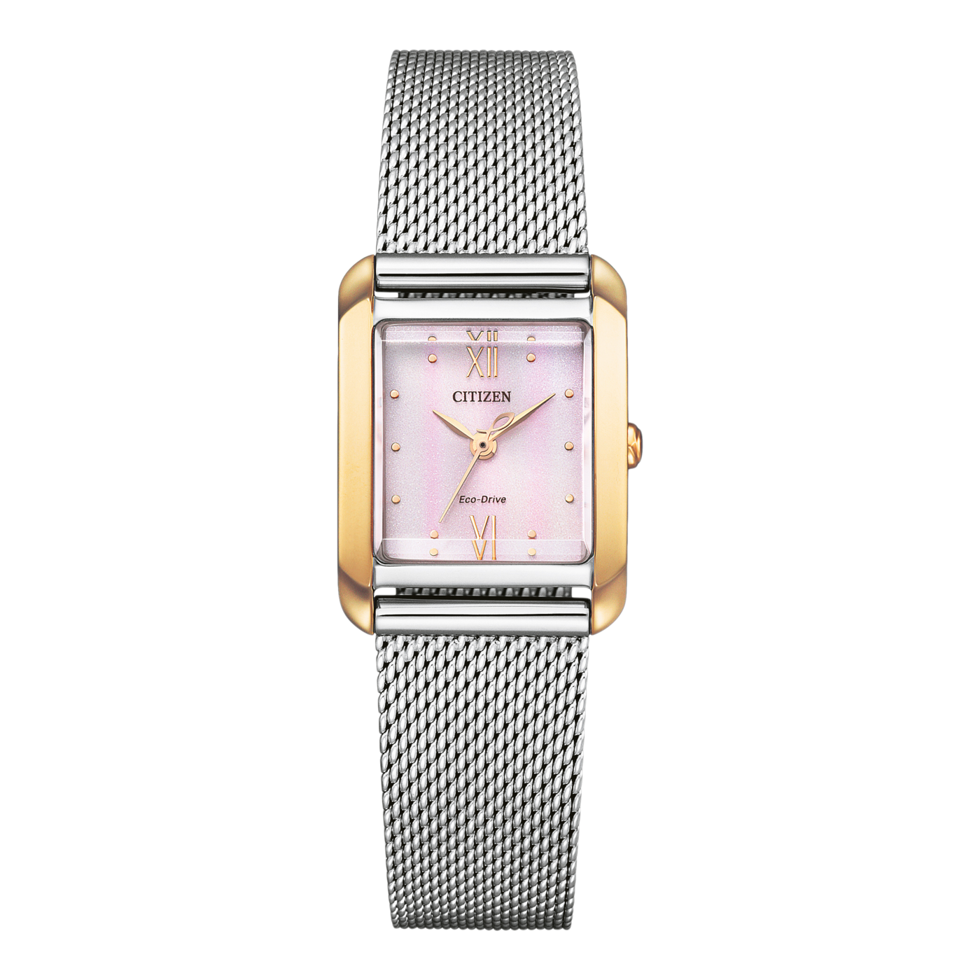 Citizen Eco-Drive EW5596-66X Yedek Kordonlu Kol Saati