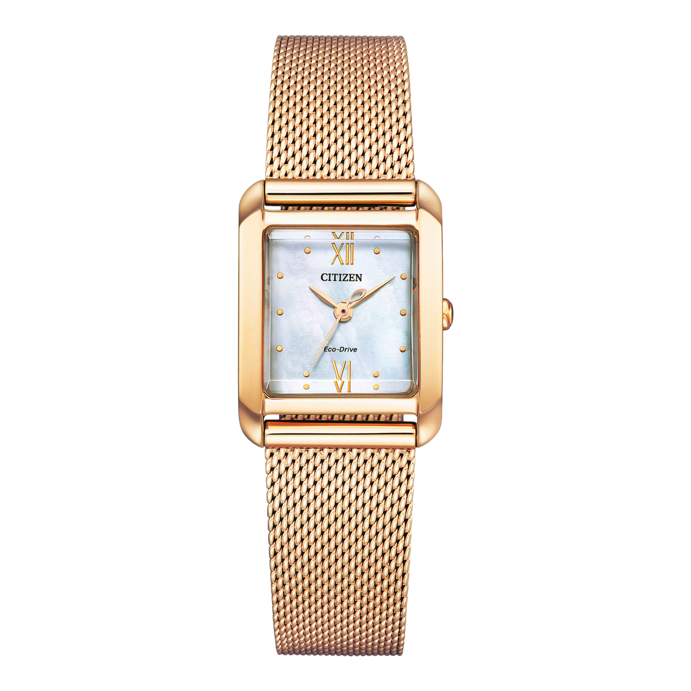Citizen Eco-Drive EW5593-64D Yedek Kordonlu Kol Saati