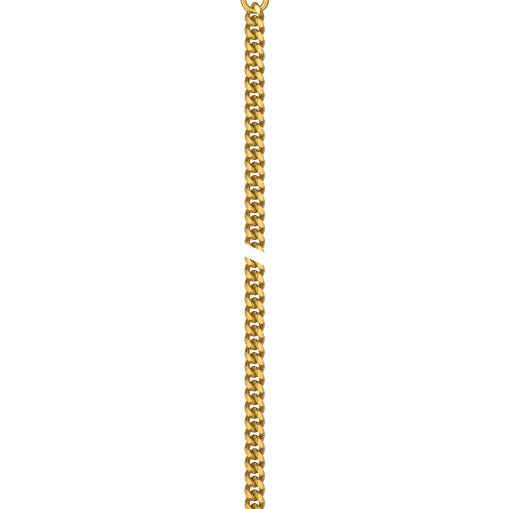 Tissot Savonnette T83.4.553.13 Cep Saati