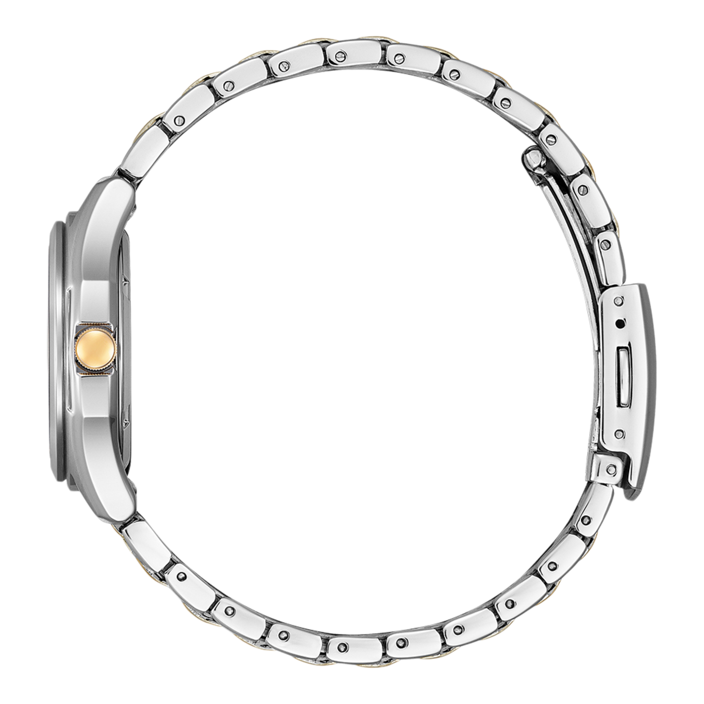 Citizen Eco-Drive FE2116-85A Kadın Kol Saati