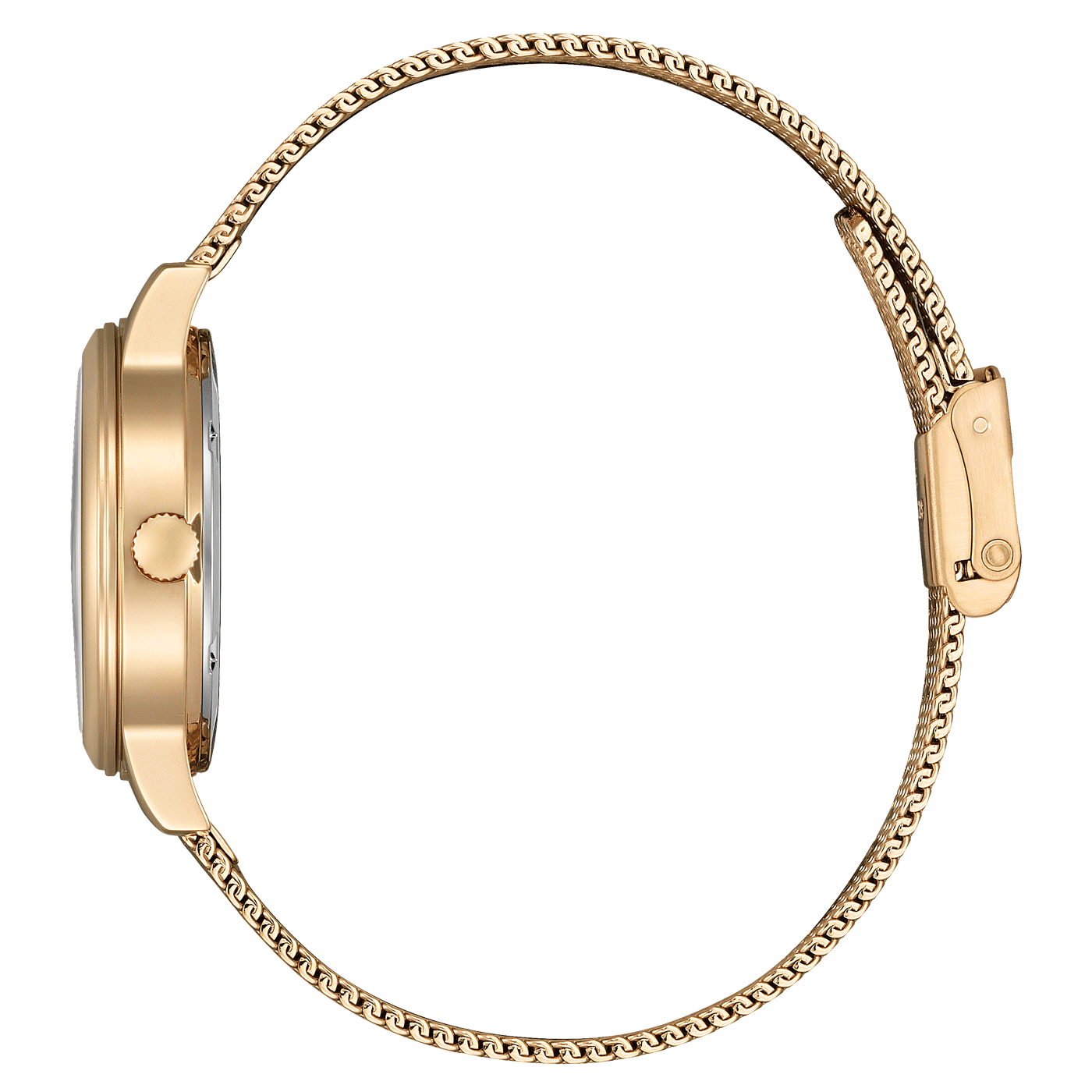 Citizen Eco-Drive EW2623-70P Kadın Kol Saati