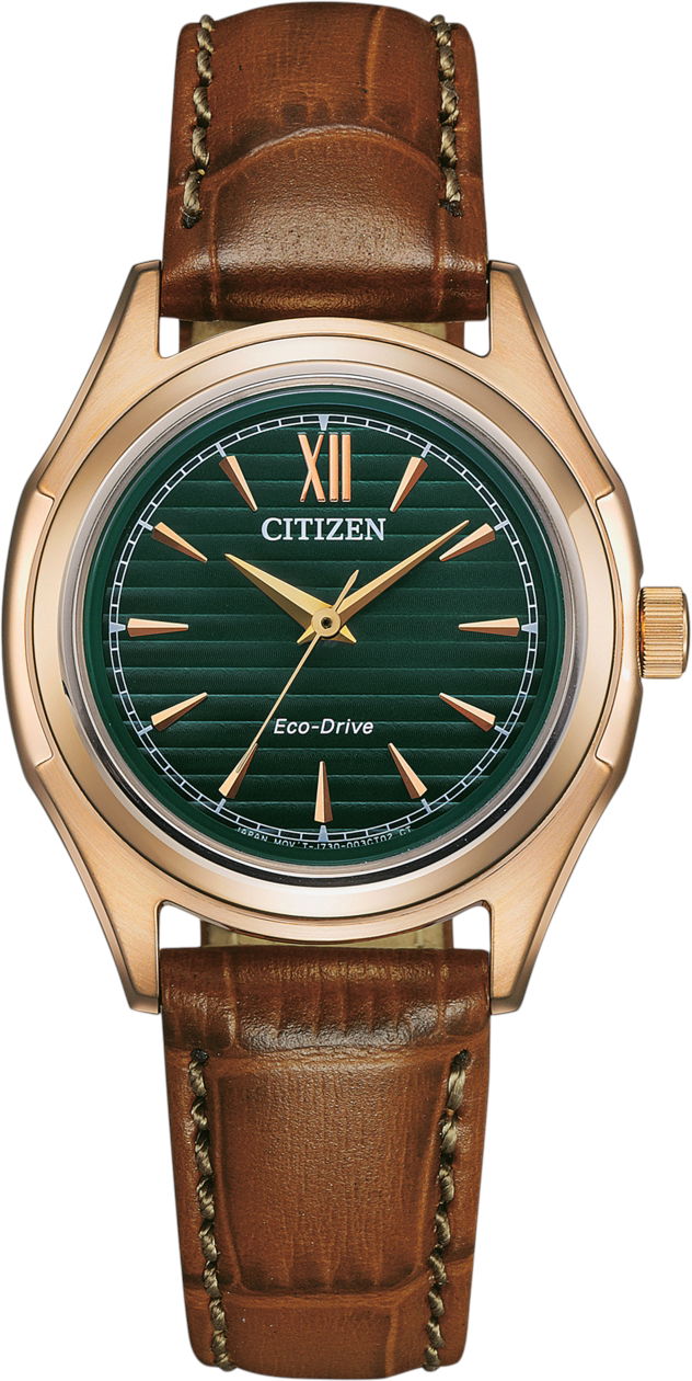 Citizen Eco-Drive FE2113-16X Kadın Kol Saati