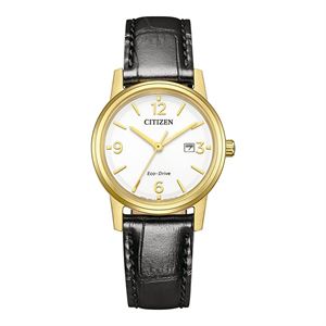 Citizen Eco-Drive EW2722-01A Kadın Kol Saati