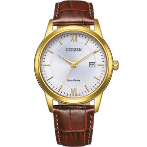 Citizen Eco-Drive AW1782-11A Erkek Kol Saati